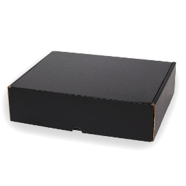 CAJA POSTAL PLUS INT 27,5x22x7 NEGRA