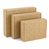 CAJAS POSTALES CON TOPOS