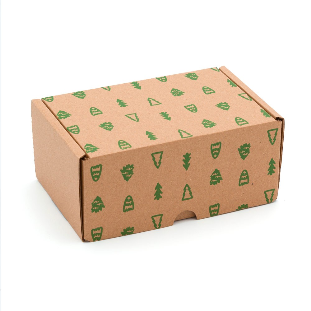 CAJA POSTAL PLUS 15 x 10 x 7 cm 