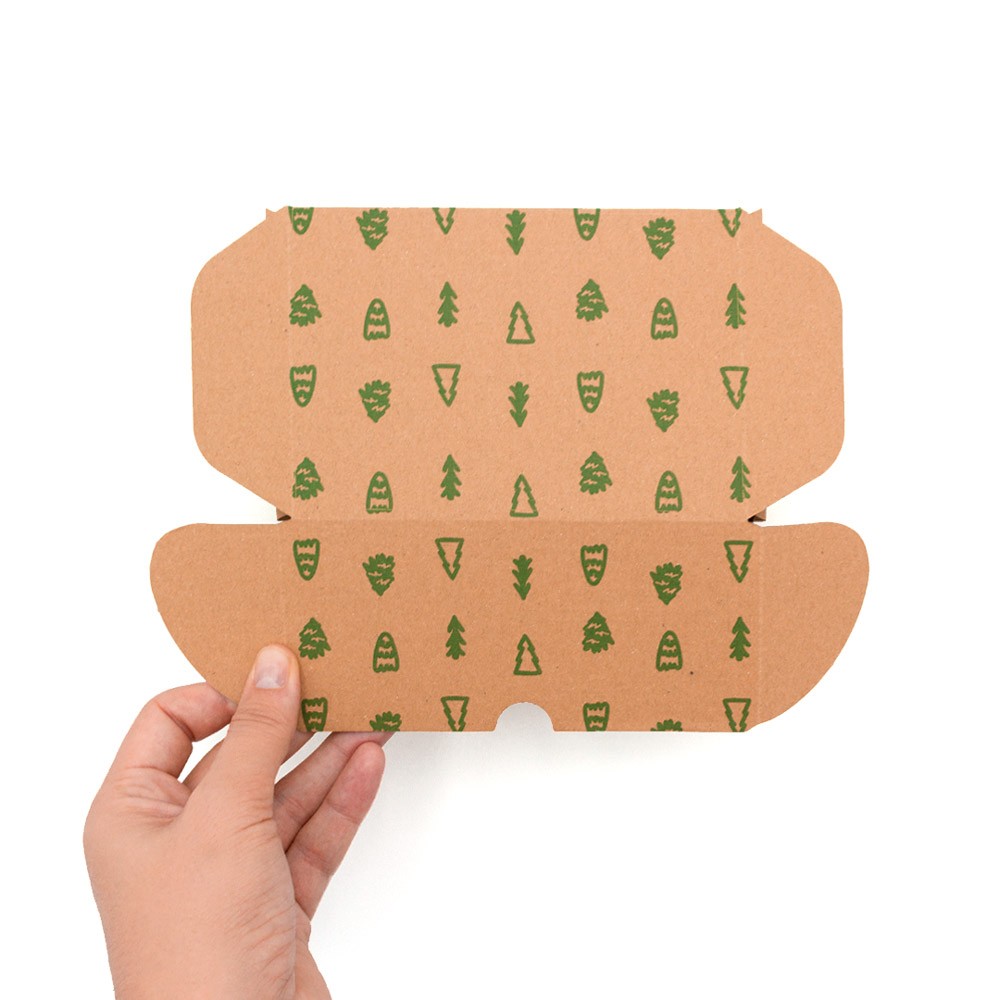 CAJA POSTAL PLUS 15 x 10 x 7 cm 