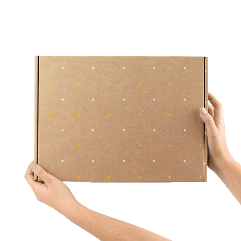 CAJA POSTAL 30 X 20 X 8 CM IMPRESION TOPOS