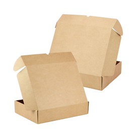 CAJAS POSTALES PLUS