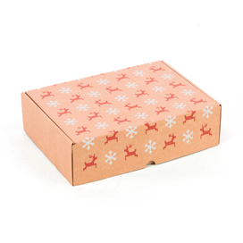 CAJAS POSTALES NAVIDEÑAS